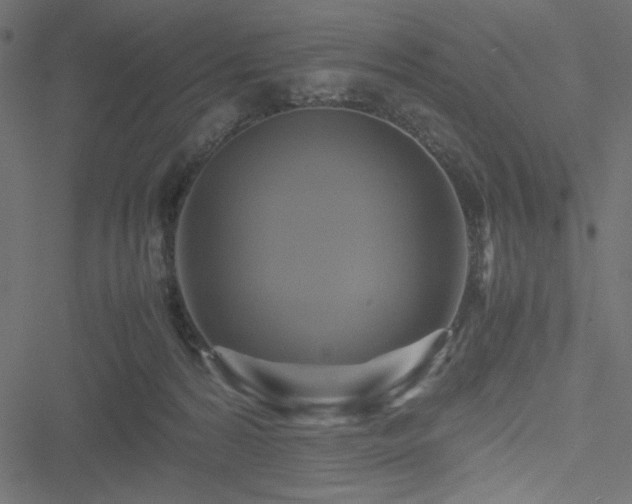 X0000051240224200506171118