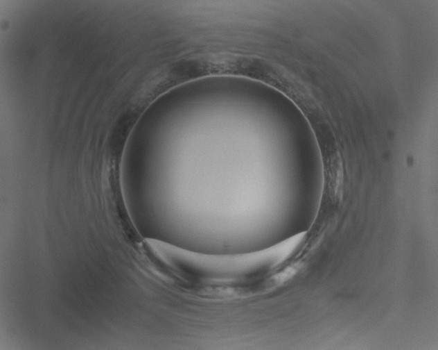 X0000051240225200506171118