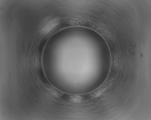 X0000051240226200506171118