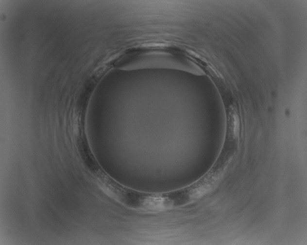 X0000051240227200506171118