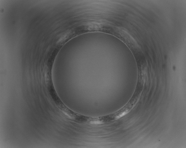 X0000051240228200506171118