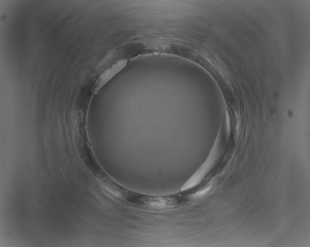 X0000051240229200506171118