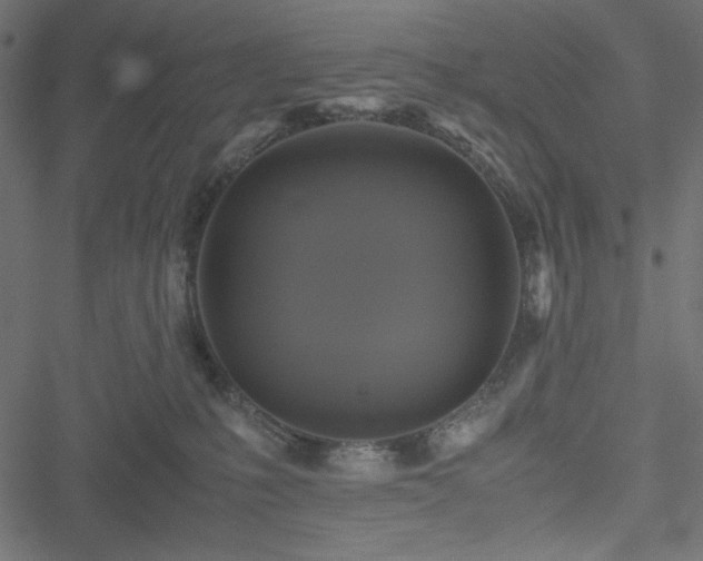 X0000051240231200506171118