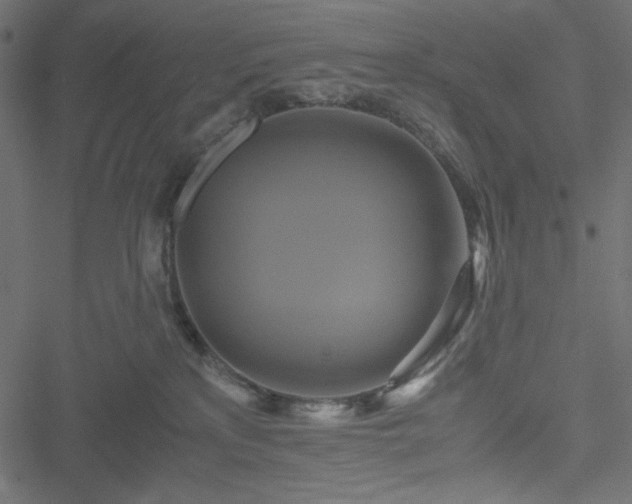 X0000051240233200506171118