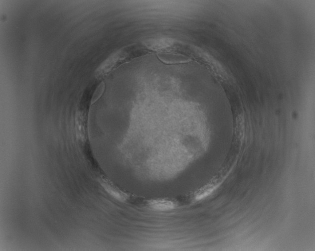 X0000051240234200506171118