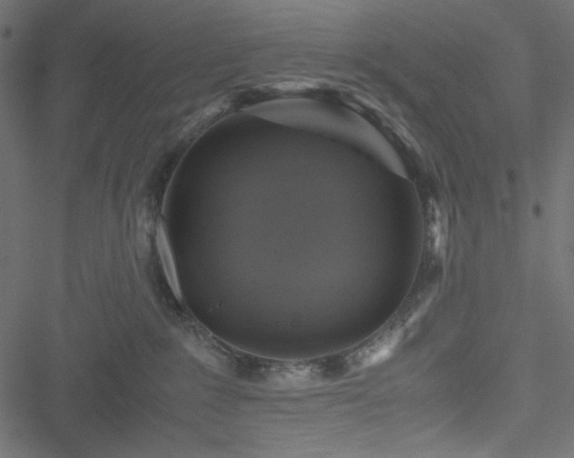 X0000051240235200506171118