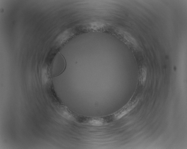 X0000051240236200506171118