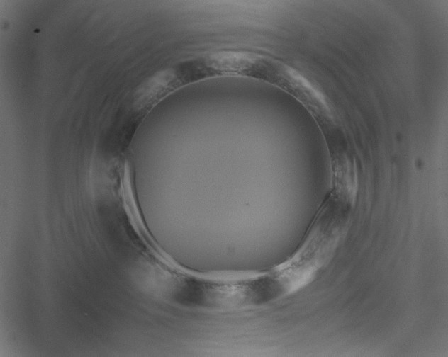 X0000051240237200506171118