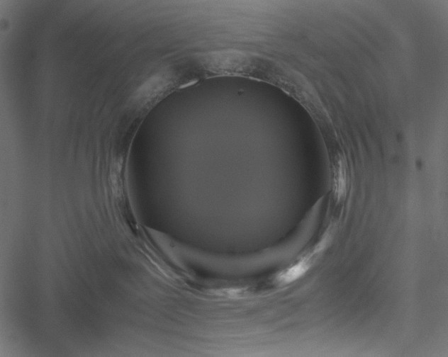 X0000051240239200506171118