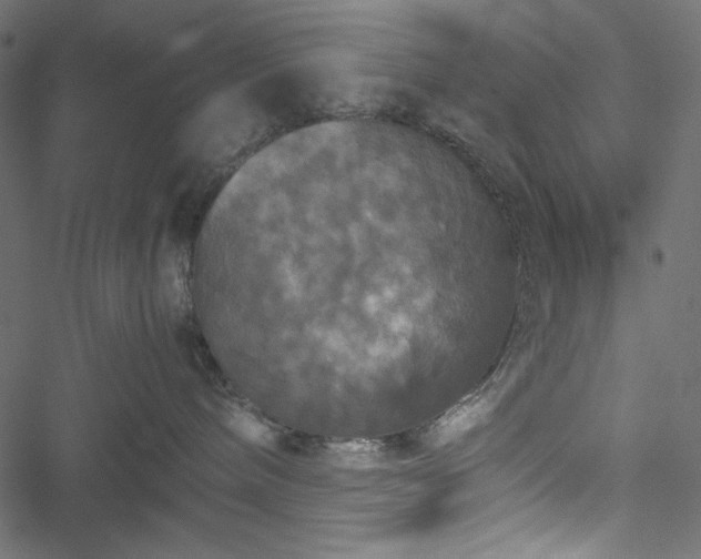 X0000051240240200506171118