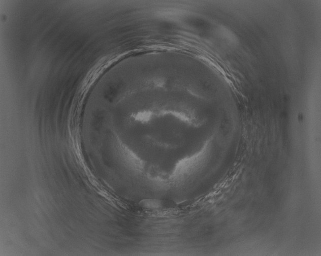 X0000051240241200506171117