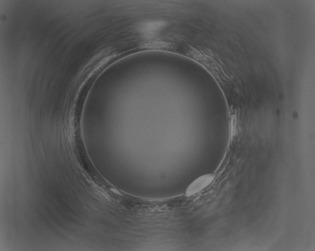 X0000051240243200506171117