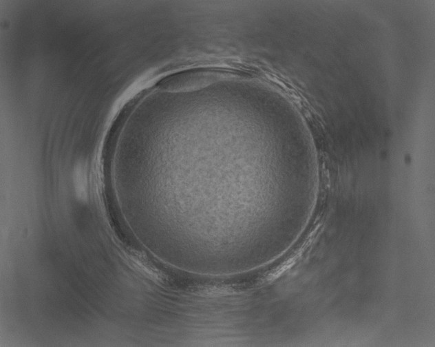 X0000051240246200506171117