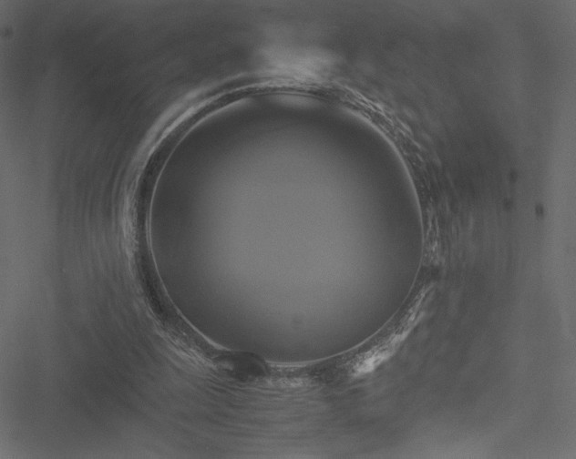 X0000051240247200506171117