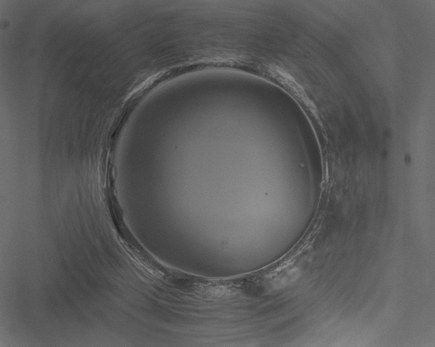 X0000051240249200506171117