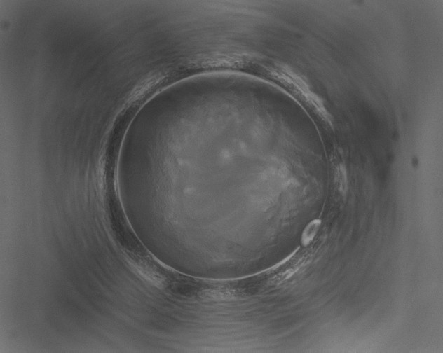 X0000051240250200506171117