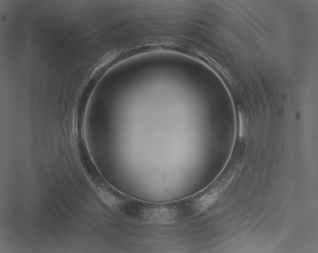 X0000051240253200506171117