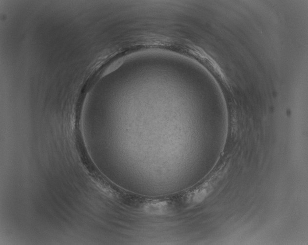 X0000051240257200506171117