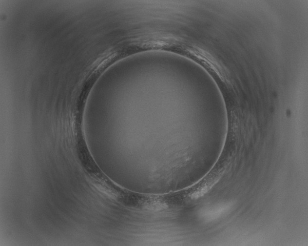 X0000051240258200506171117