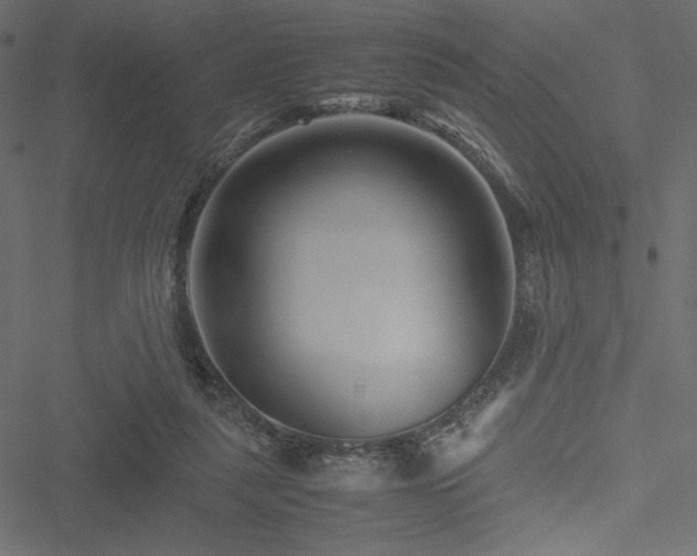 X0000051240259200506171117