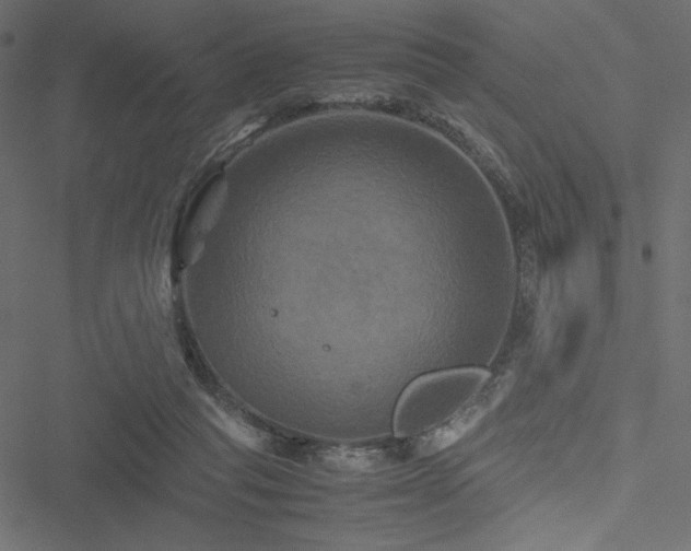 X0000051240261200506171118