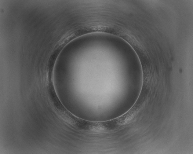 X0000051240262200506171118