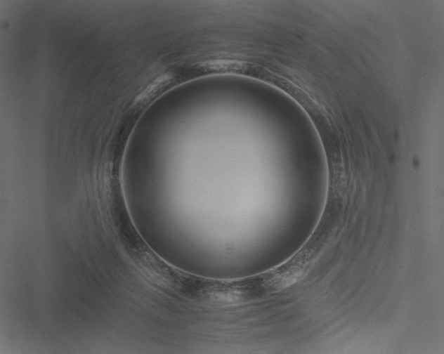 X0000051240263200506171118