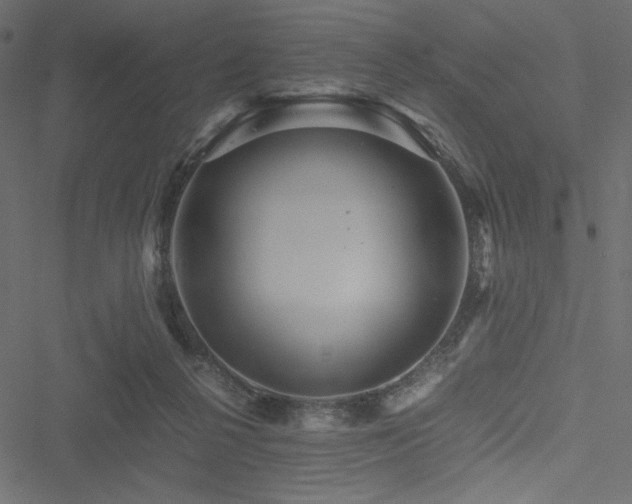 X0000051240264200506171118