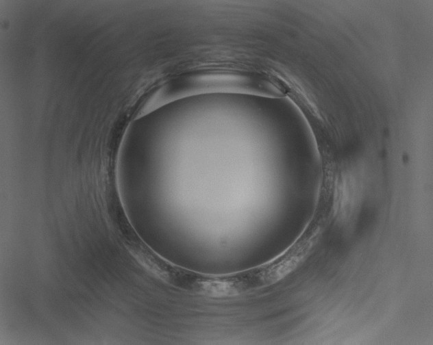 X0000051240265200506171118