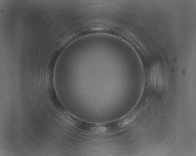 X0000051240266200506171118