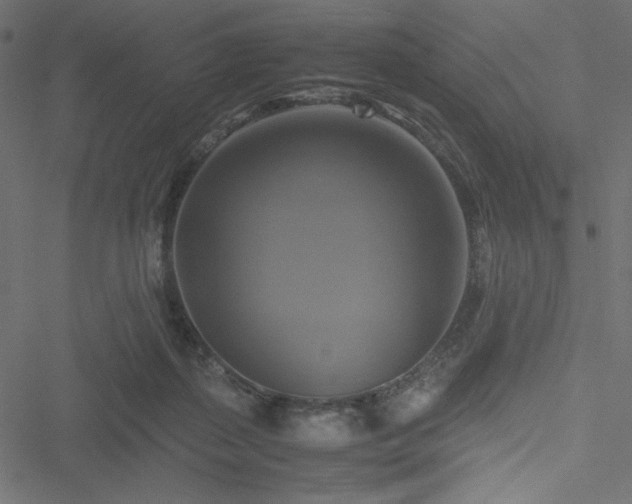 X0000051240267200506171118