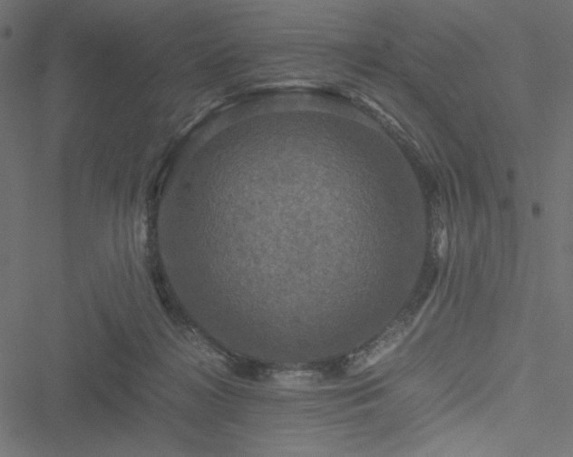 X0000051240268200506171118