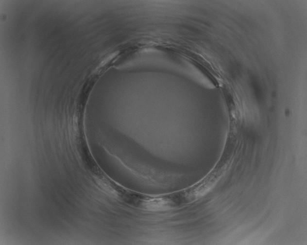 X0000051240269200506171118