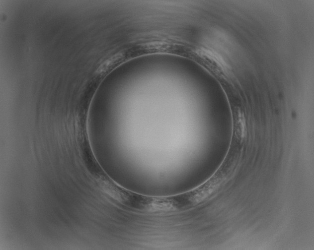 X0000051240270200506171118