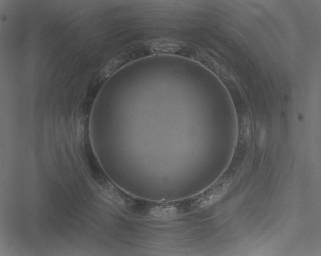 X0000051240271200506171118