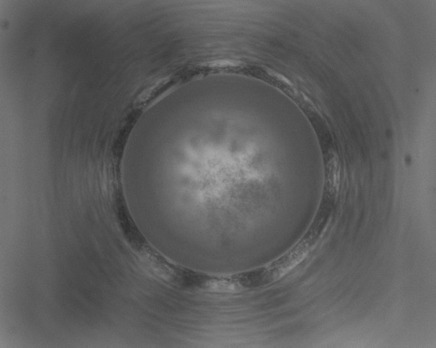 X0000051240272200506171118