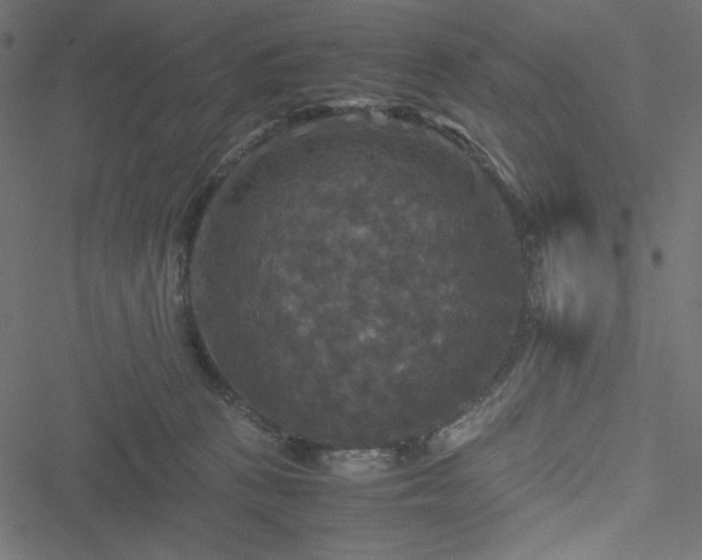 X0000051240273200506171118