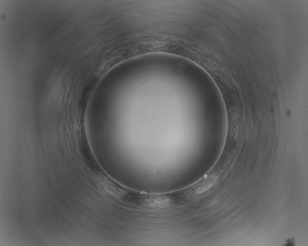 X0000051240274200506171118