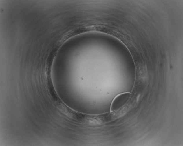 X0000051240275200506171118