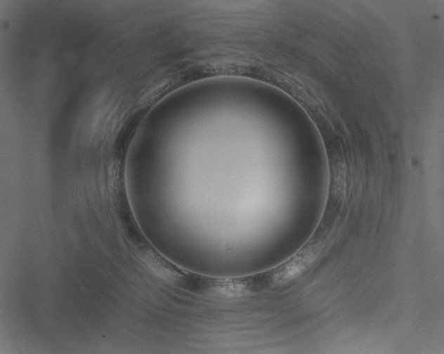 X0000051240278200506171118