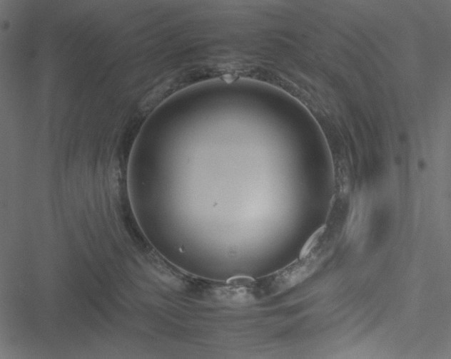 X0000051240279200506171118