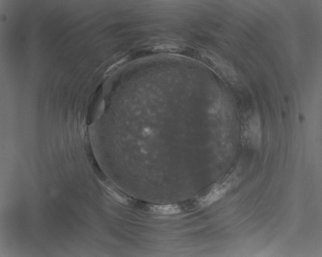 X0000051240281200506171118