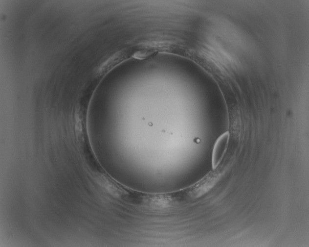 X0000051240282200506171118