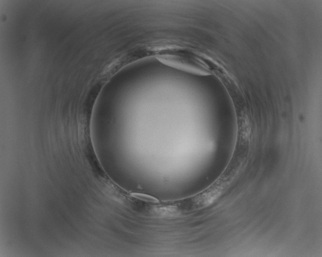 X0000051240283200506171118