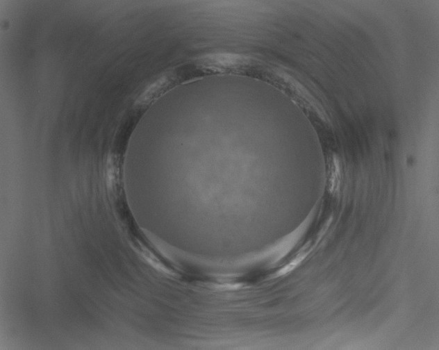 X0000051240284200506171118