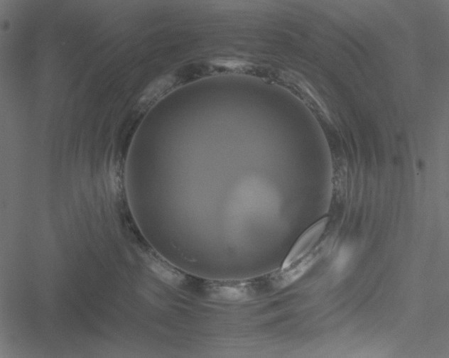 X0000051240285200506171118