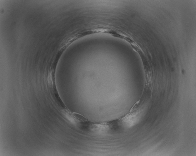 X0000051240286200506171118