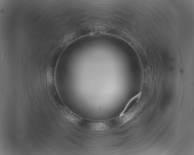 X0000051240287200506171118