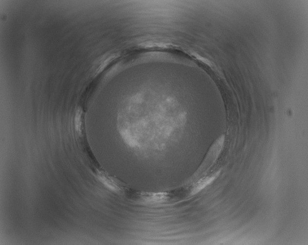 X0000051240288200506171118