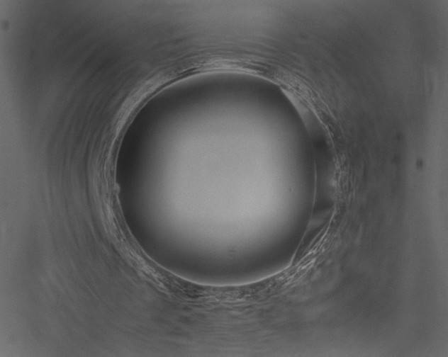 X0000051240289200506171117